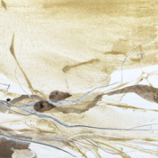 Karin Köpfli-Fehlmann Bremgarten AG: 2026 Farbwelten IX, 20 x 30 cm, Reusssteinpigmente und Graphit auf Leichtschaumplatte 