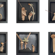 Karin Köpfli-Fehlmann Bremgarten AG: in-the-box 6-teilige Serie 'unter uns', 2024, je 17 x 17 cm, organische Fundstücke gerahmt 