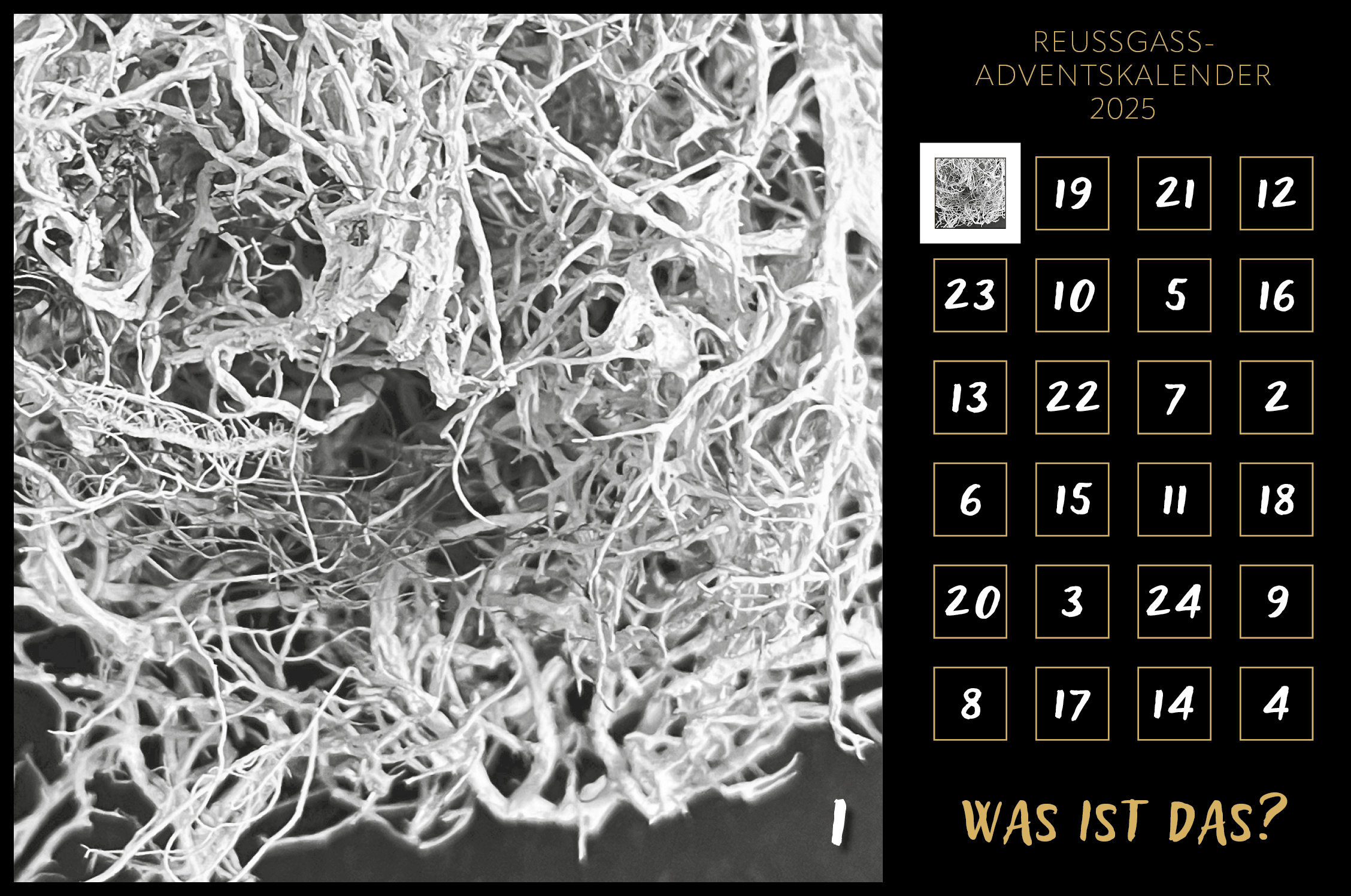 Karin Köpfli-Fehlmann Bremgarten AG: Adventskalender 25 1.Dezember 