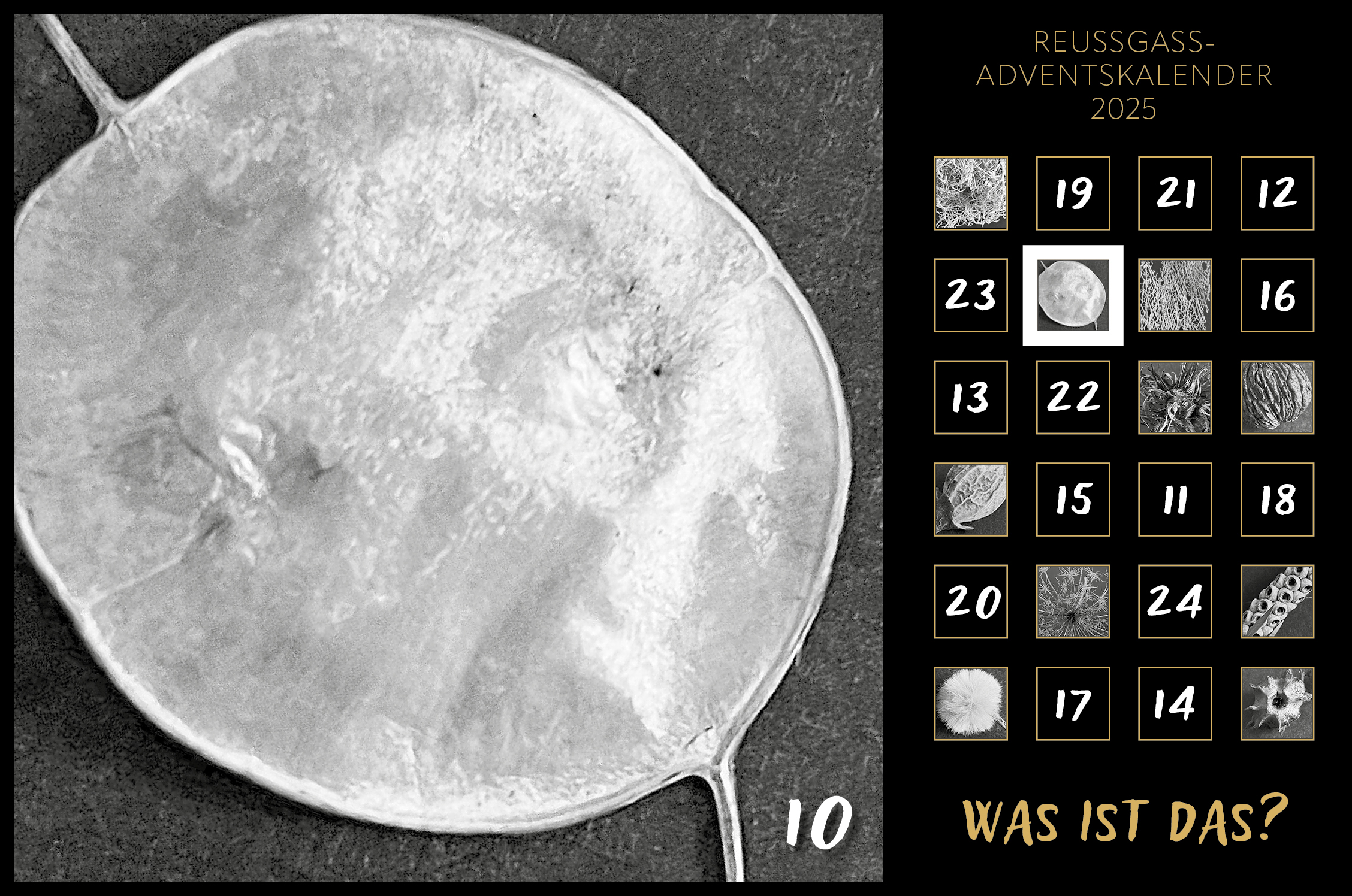 Karin Köpfli-Fehlmann Bremgarten AG: Adventskalender 25 10.Dezember 