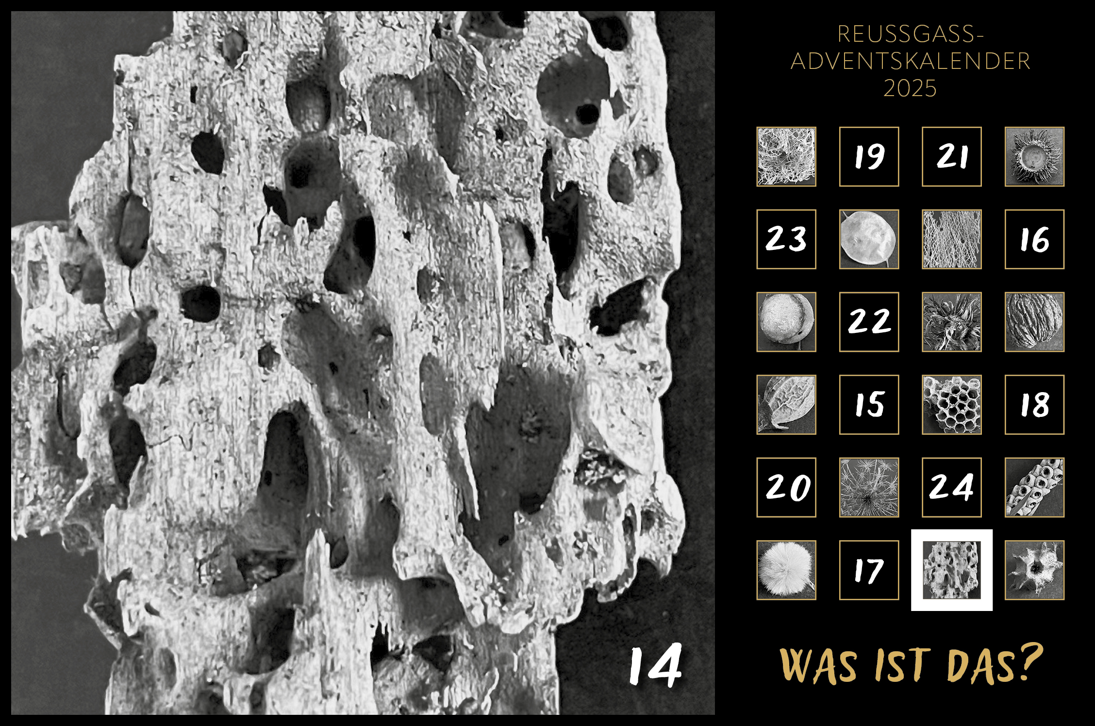 Karin Köpfli-Fehlmann Bremgarten AG: Adventskalender 25 14.Dezember 