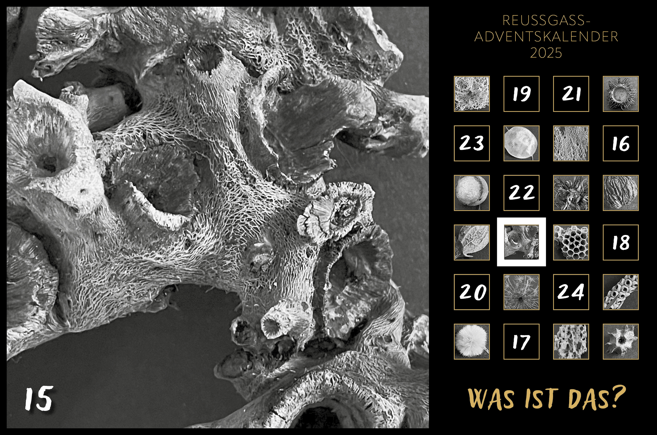 Karin Köpfli-Fehlmann Bremgarten AG: Adventskalender 25 15.Dezember 