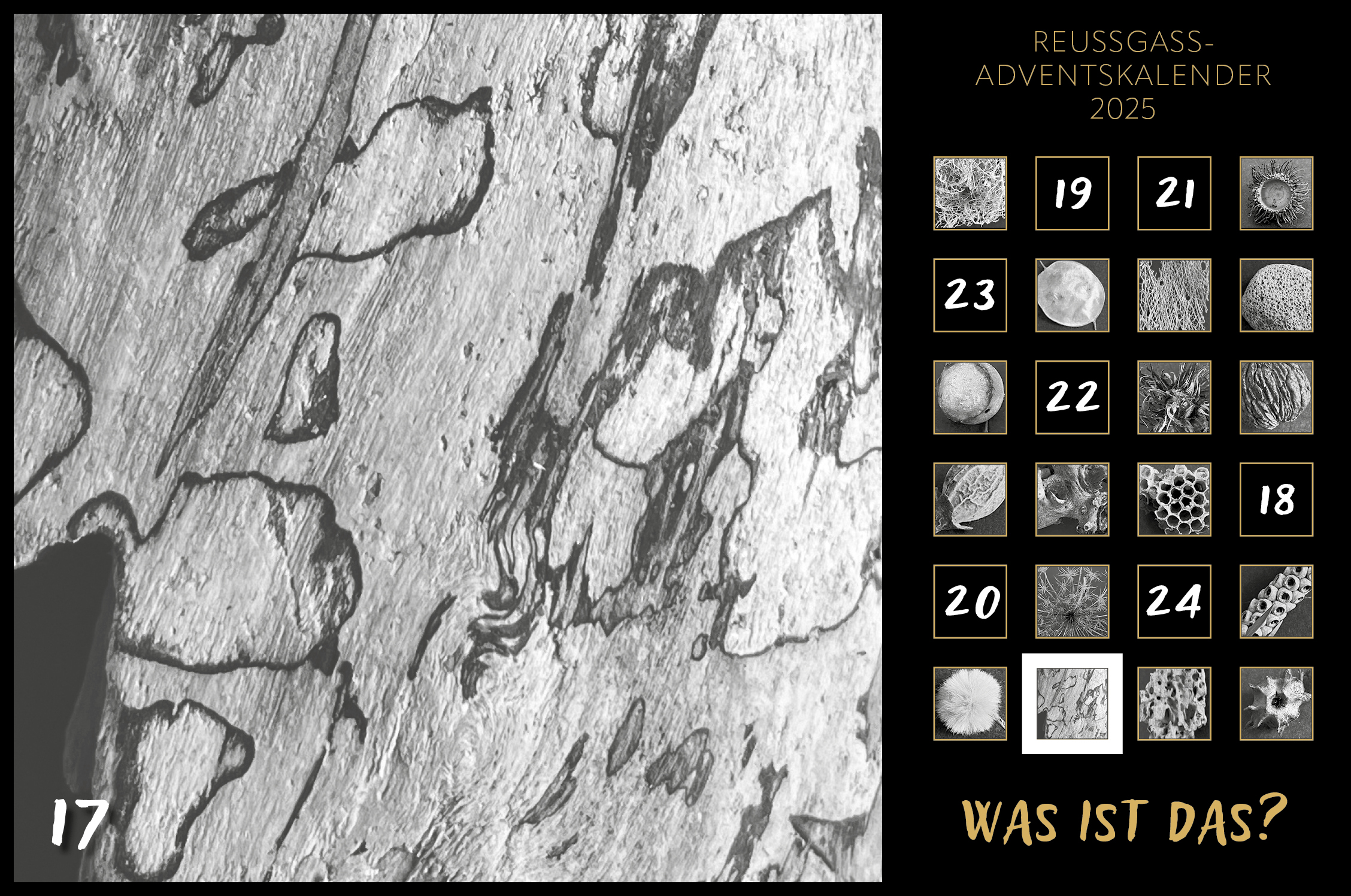 Karin Köpfli-Fehlmann Bremgarten AG: Adventskalender 25 17.Dezember 