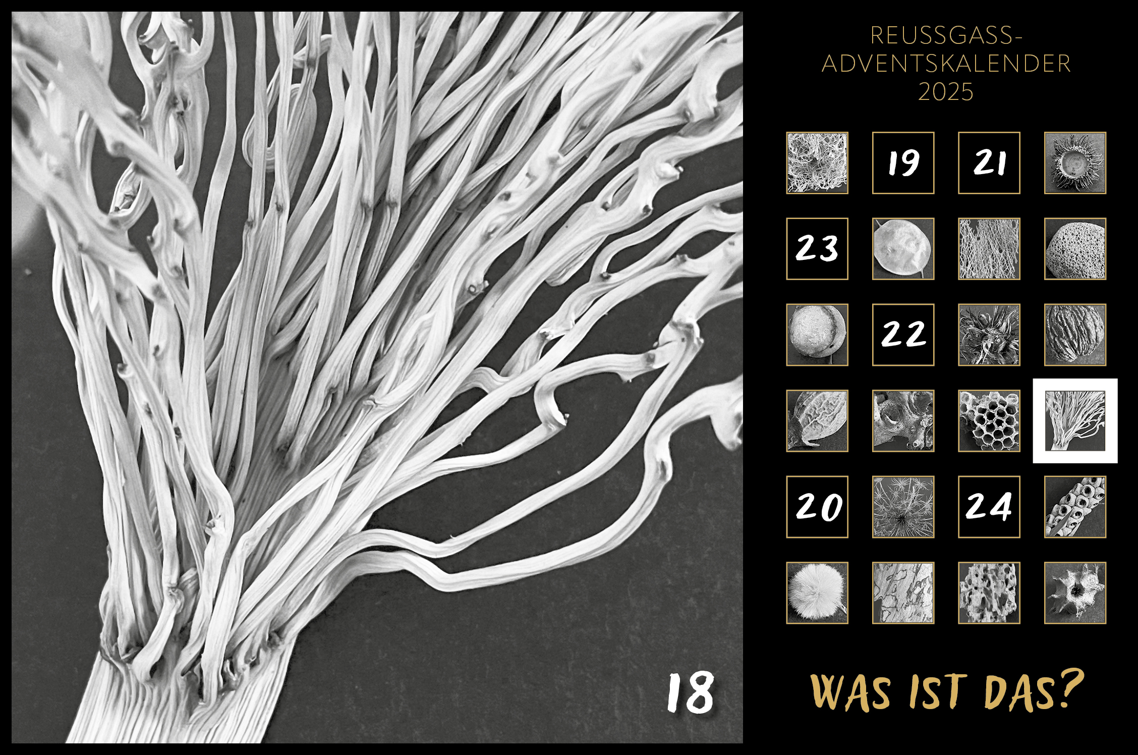 Karin Köpfli-Fehlmann Bremgarten AG: Adventskalender 25 18.Dezember 