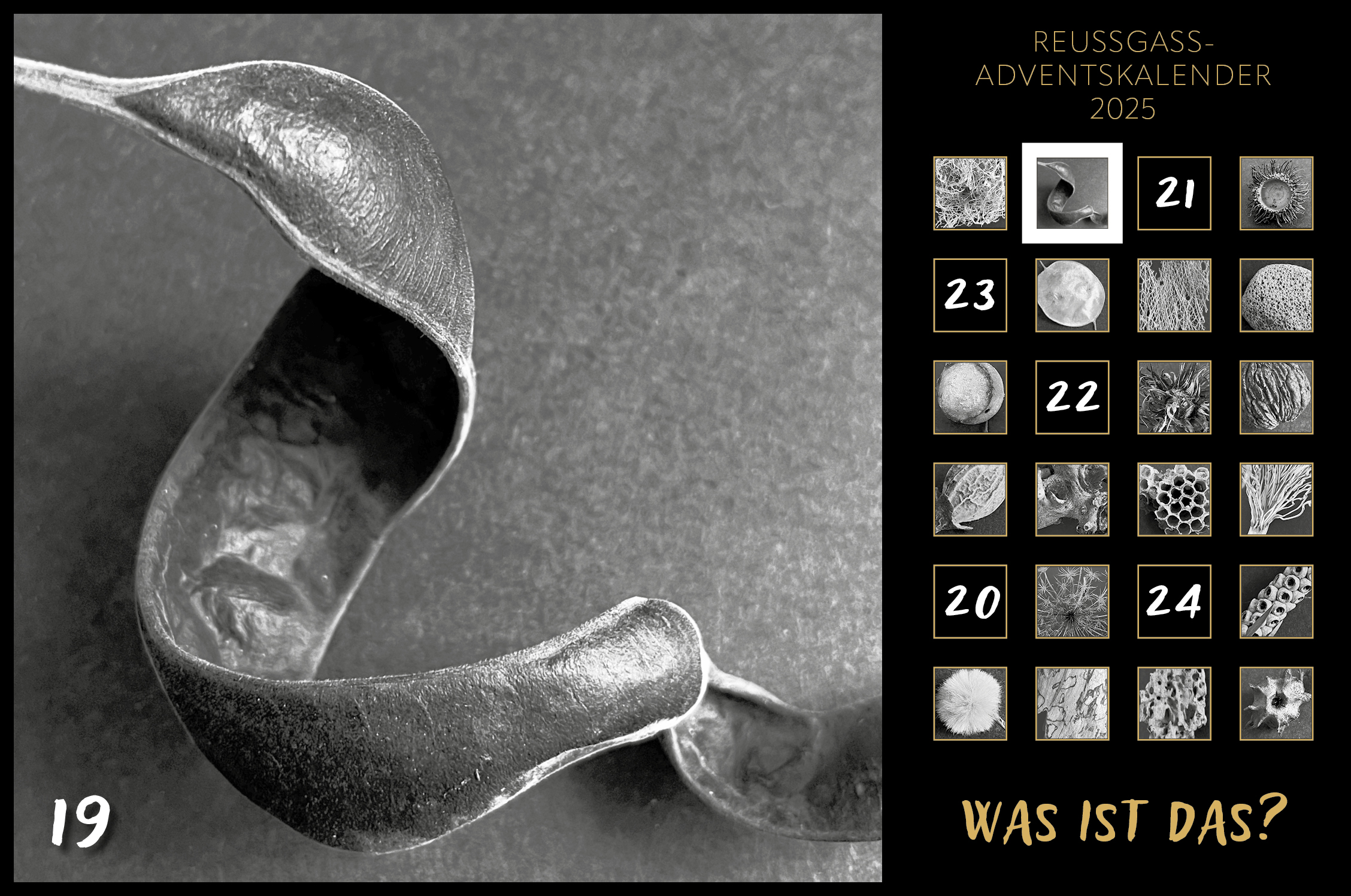 Karin Köpfli-Fehlmann Bremgarten AG: Adventskalender 25 19.Dezember 