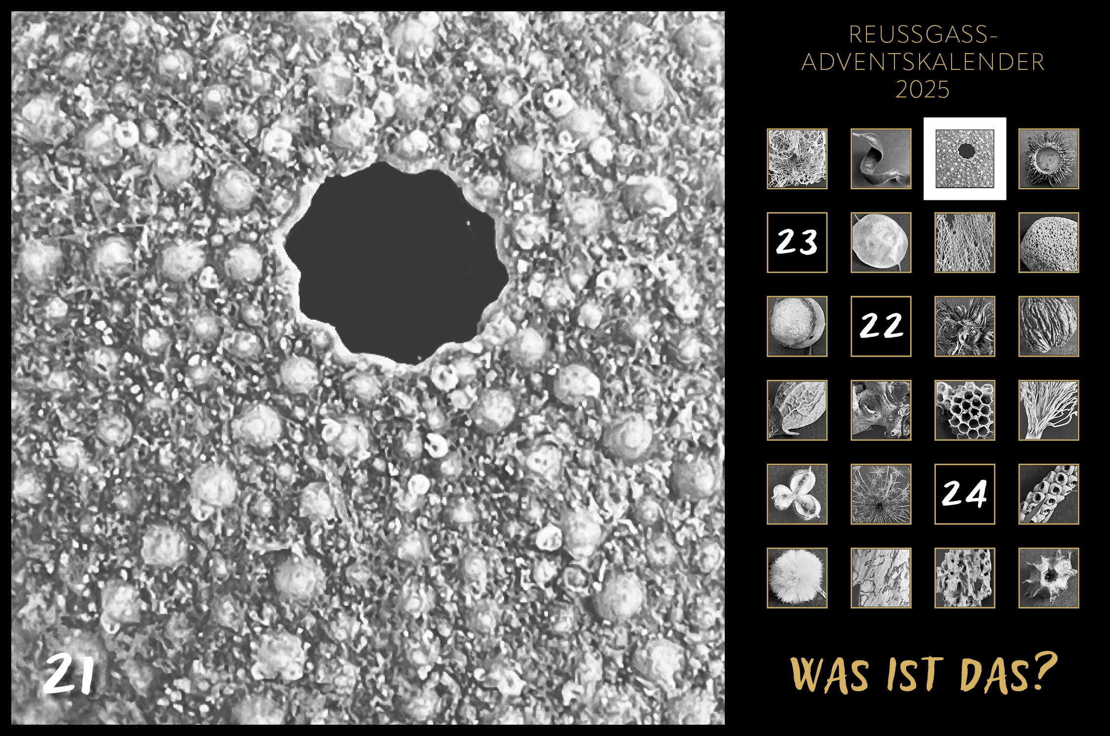 Karin Köpfli-Fehlmann Bremgarten AG: Adventskalender 25 21.Dezember 