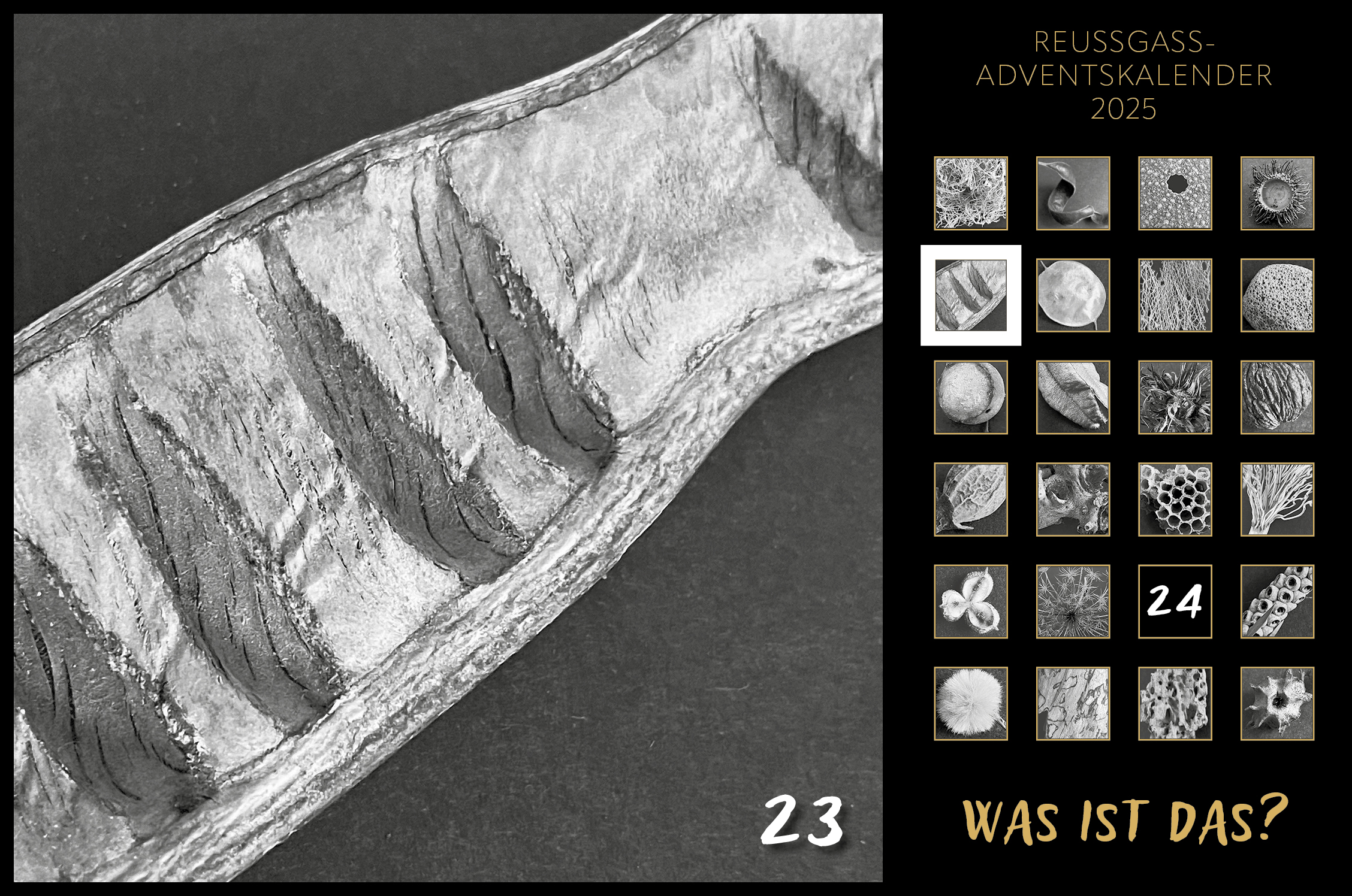 Karin Köpfli-Fehlmann Bremgarten AG: Adventskalender 25 23.Dezember 