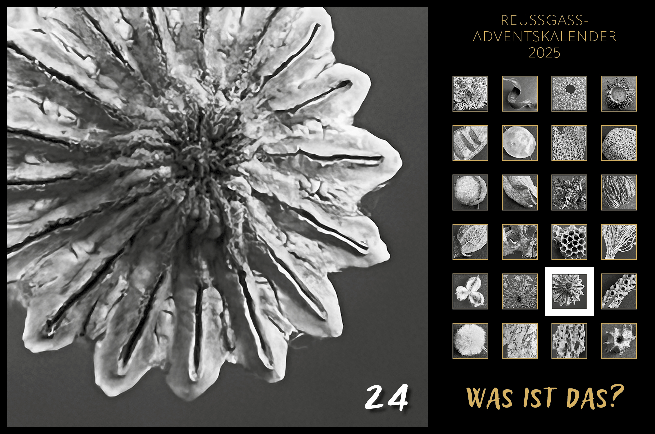 Karin Köpfli-Fehlmann Bremgarten AG: Adventskalender 25 24.Dezember 
