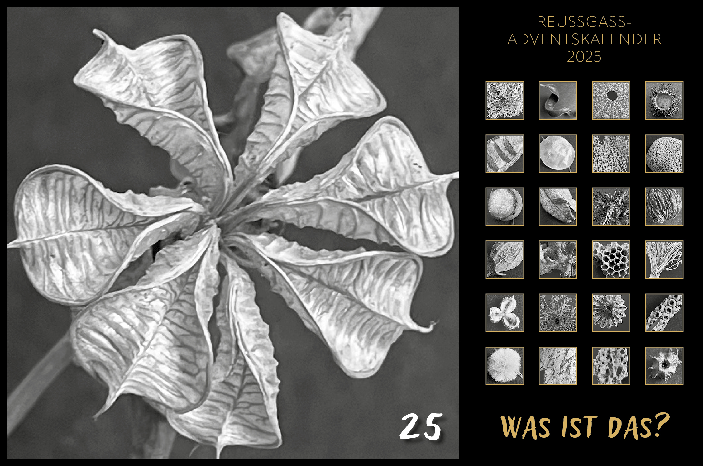 Karin Köpfli-Fehlmann Bremgarten AG: Adventskalender 25 25. Dezember 