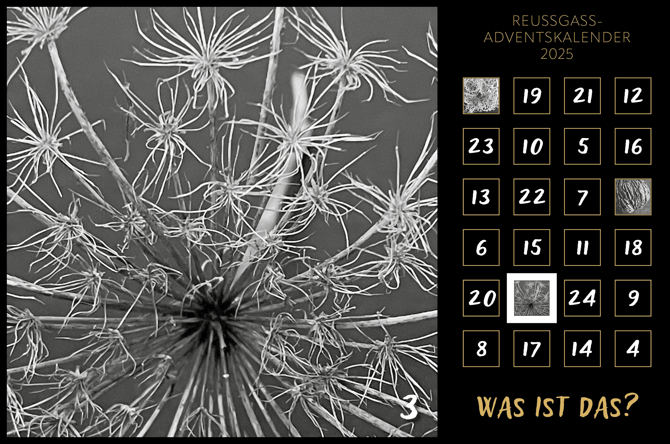 Karin Köpfli-Fehlmann Bremgarten AG: Adventskalender 25 3.Dezember 