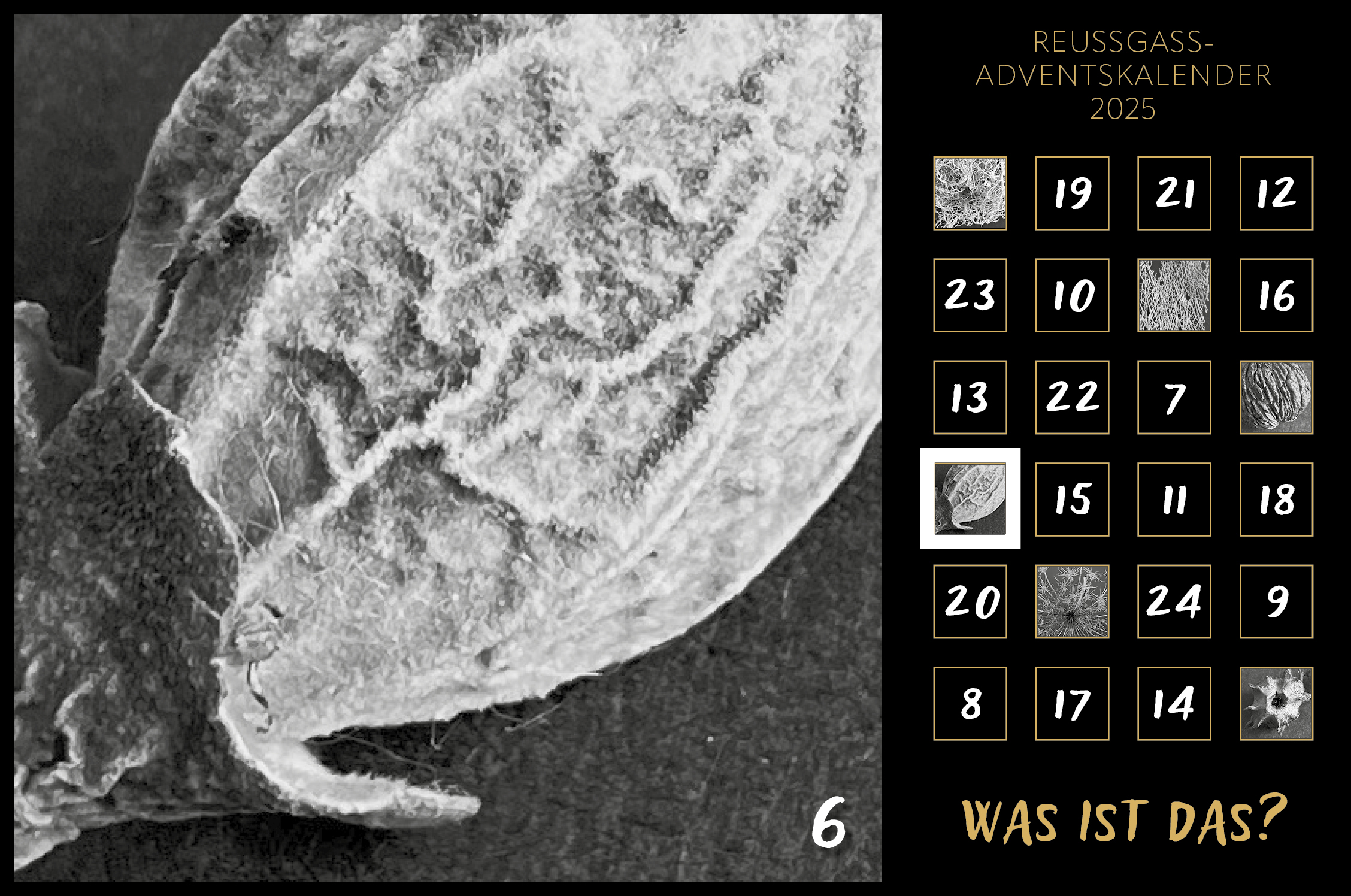 Karin Köpfli-Fehlmann Bremgarten AG: Adventskalender 25 6.Dezember 