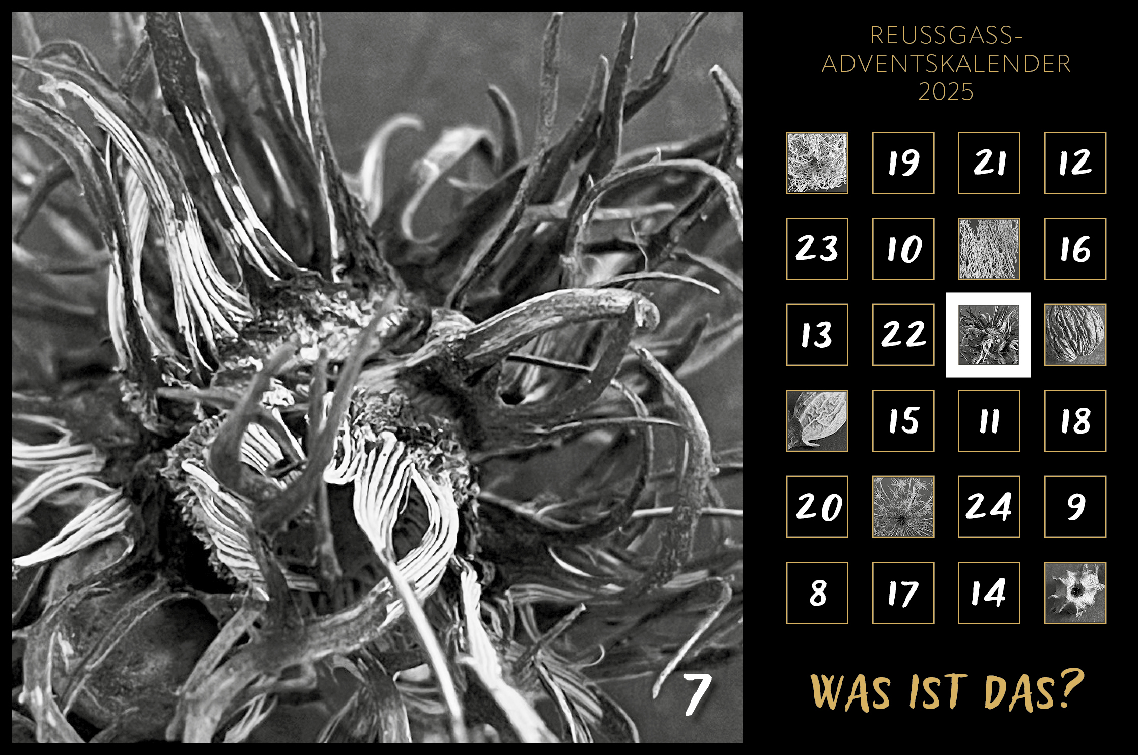 Karin Köpfli-Fehlmann Bremgarten AG: Adventskalender 25 7.Dezember 