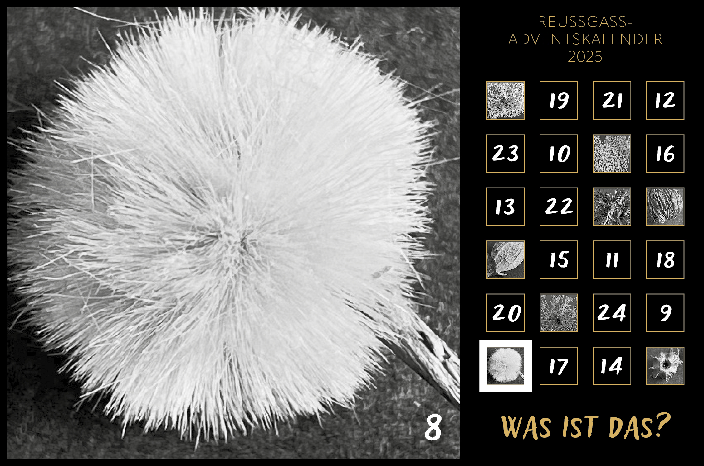 Karin Köpfli-Fehlmann Bremgarten AG: Adventskalender 25 8.Dezember 