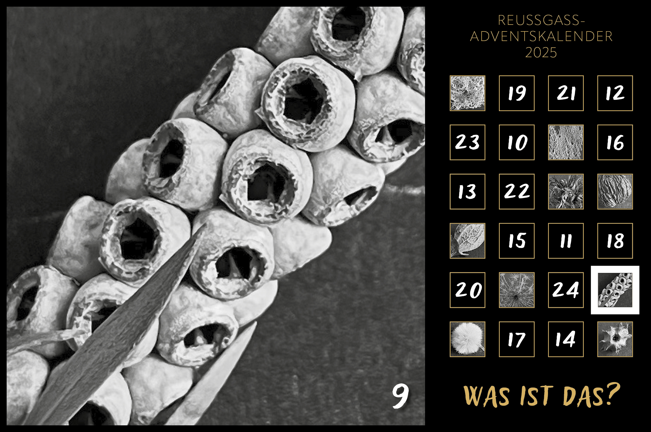 Karin Köpfli-Fehlmann Bremgarten AG: Adventskalender 25 9.Dezember 