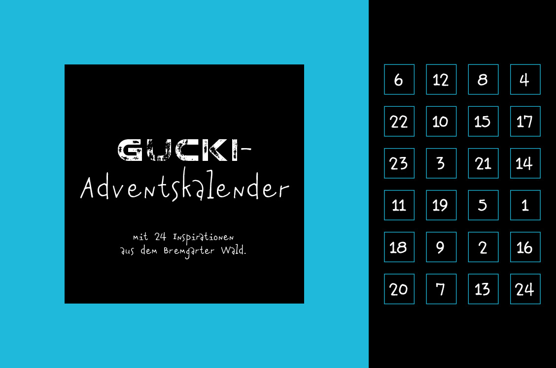Karin Köpfli-Fehlmann Bremgarten AG: Projekt «GUCKI-Adventskalender» Tag 00 